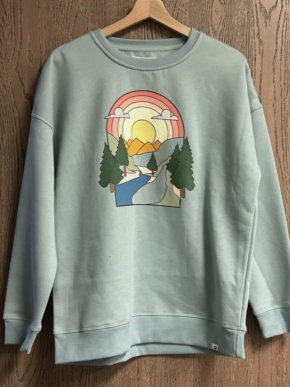 Women's Gabriella Crew Neck Sweatshirt in Aqua Mint